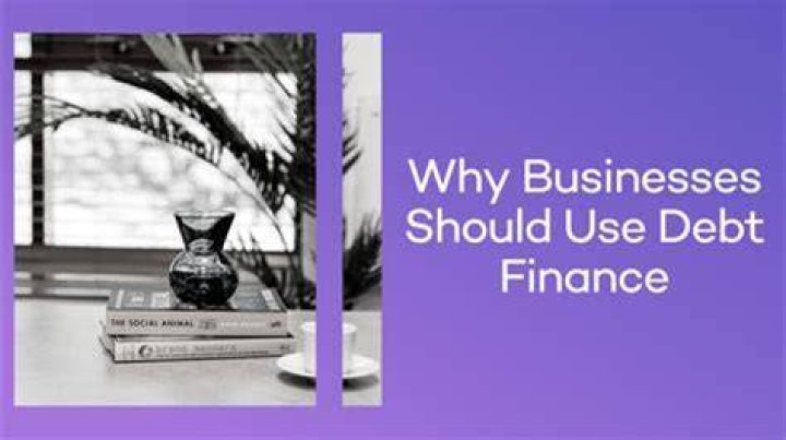 Are some industries more likely to use debt financing Why?