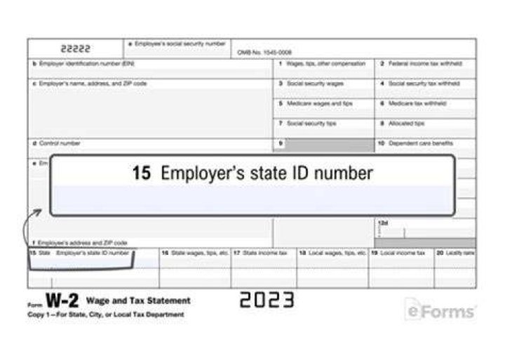 Can employers see your W-2?
