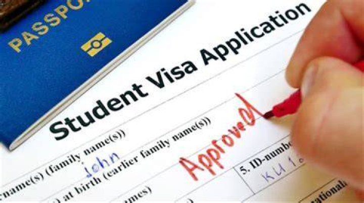 Can F-1 student get paid?