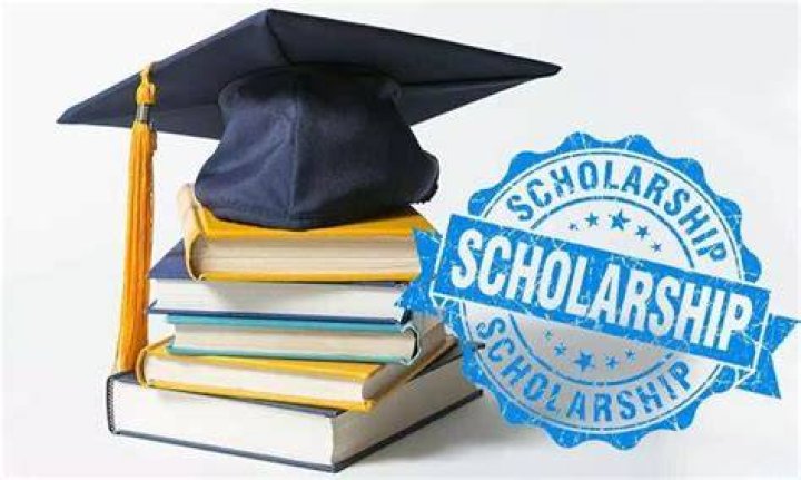 Can for profit businesses give scholarships?