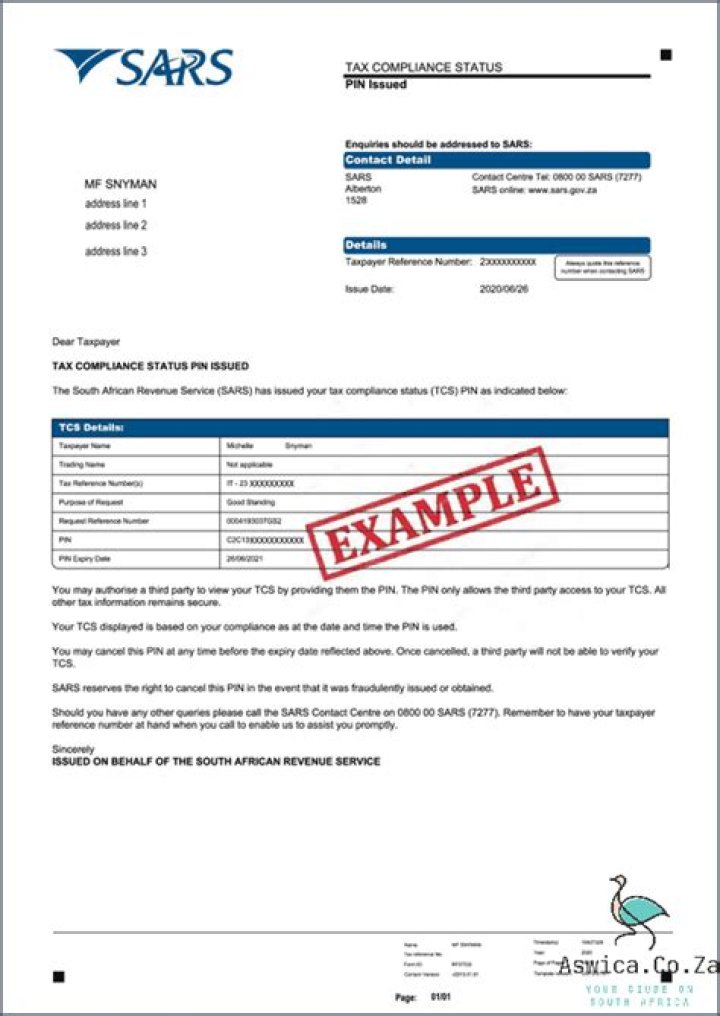 Can I apply for a tax number online in South Africa?