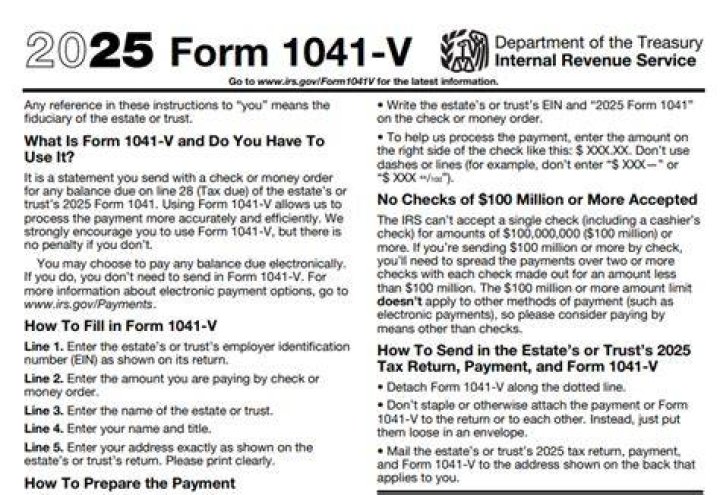 Can I pay 1041 V online?