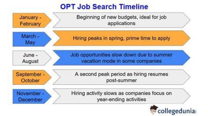 Can I switch jobs while on OPT?