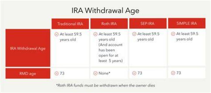 Can I take an early withdrawal from my IRA?