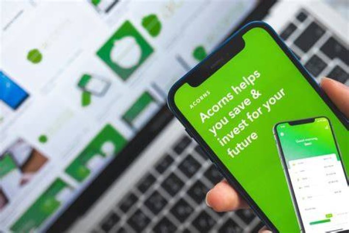 Can you actually make money with Acorns?