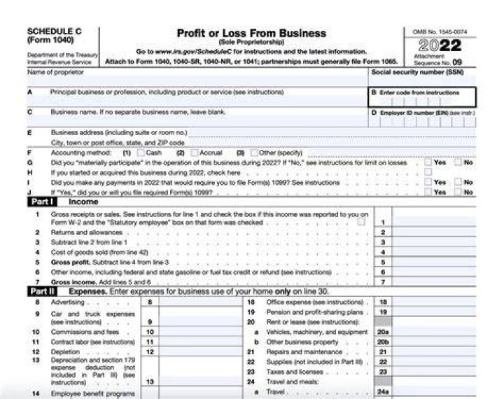 Can you report LLC income on Schedule C?