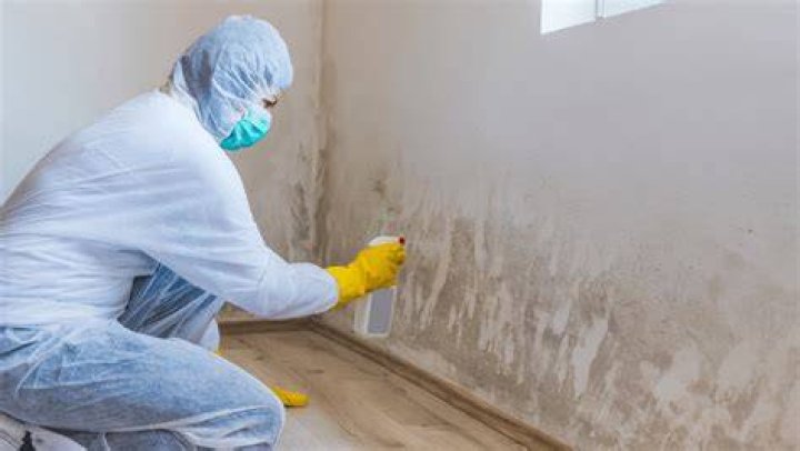 Can you write off mold remediation?