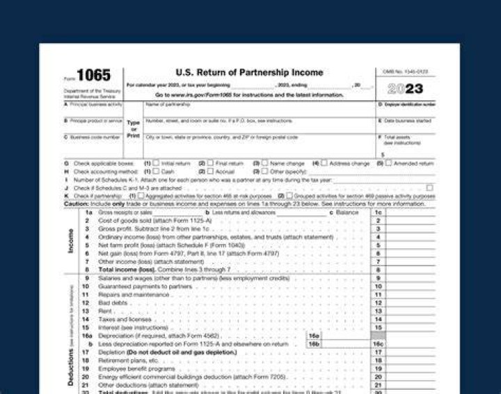 Do you need to file a 1065 tax return?