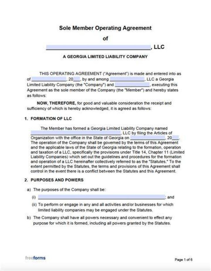 Does Georgia require an operating agreement for an LLC?