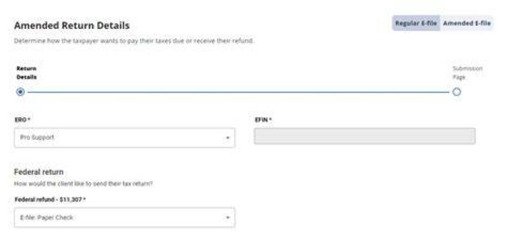 Does TaxSlayer Efile amended return?