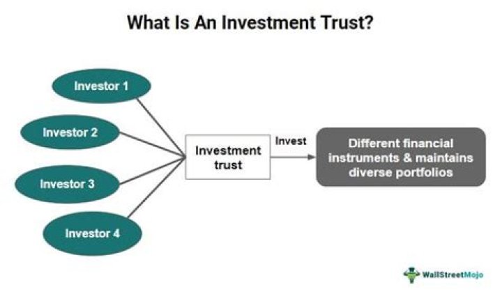 How are trust investment accounts taxed?