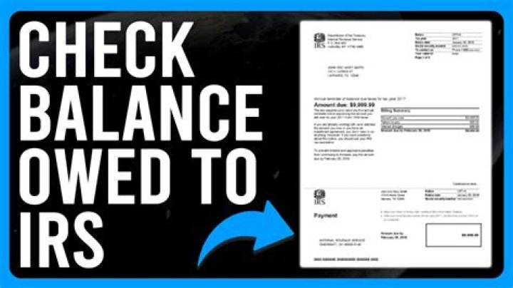 How can I Check my Balance with the IRS?