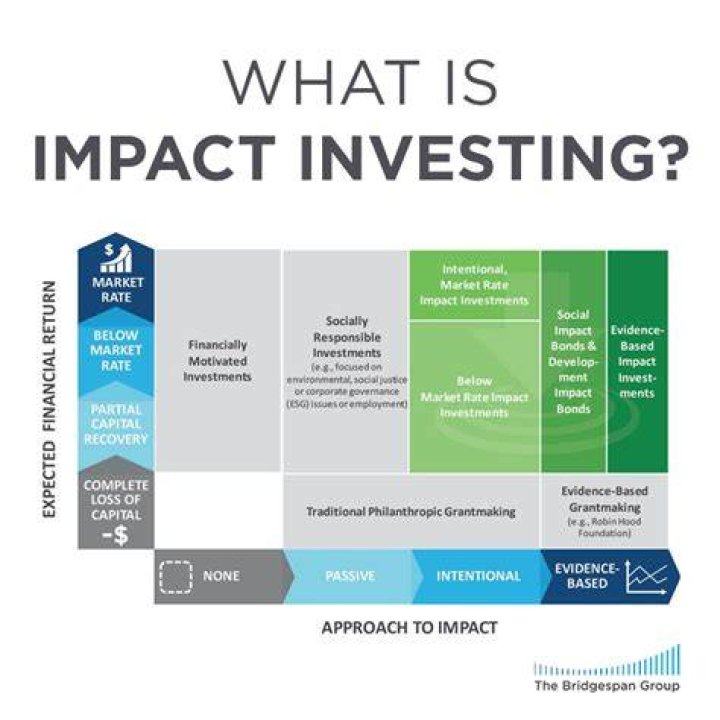How did Impact investing start?