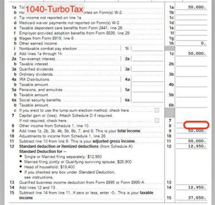 How do I enter a paid preparer in TurboTax?