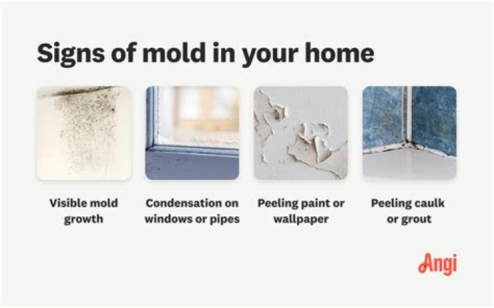 How do I keep mold out of my summer house?
