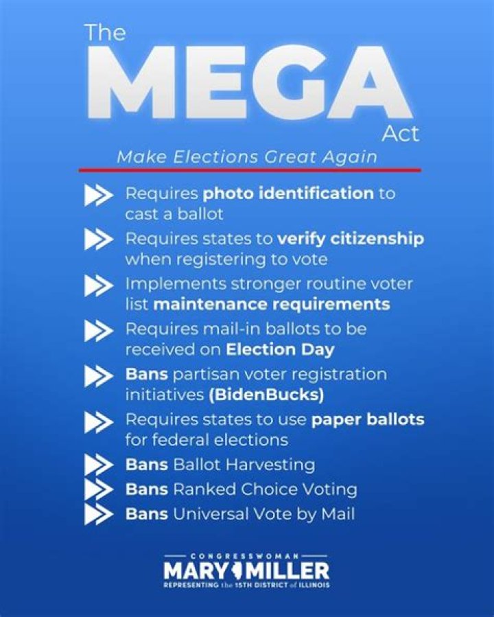 How do I make an election for a corporation?