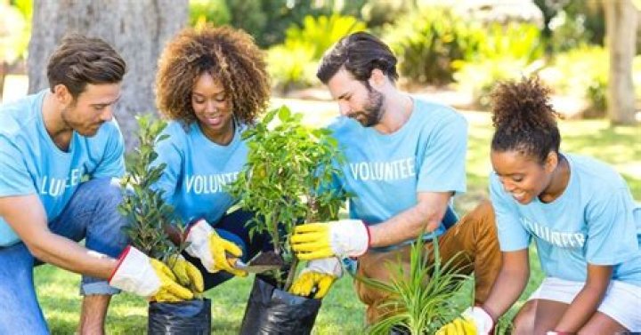 How do I start a volunteer organization?