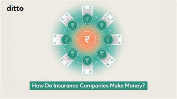 How do small insurance companies make money?