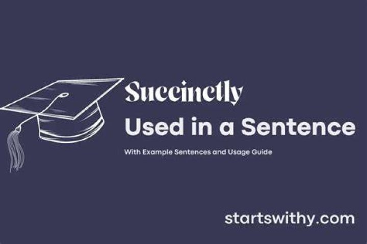 How do you use the word succinctly in a sentence?