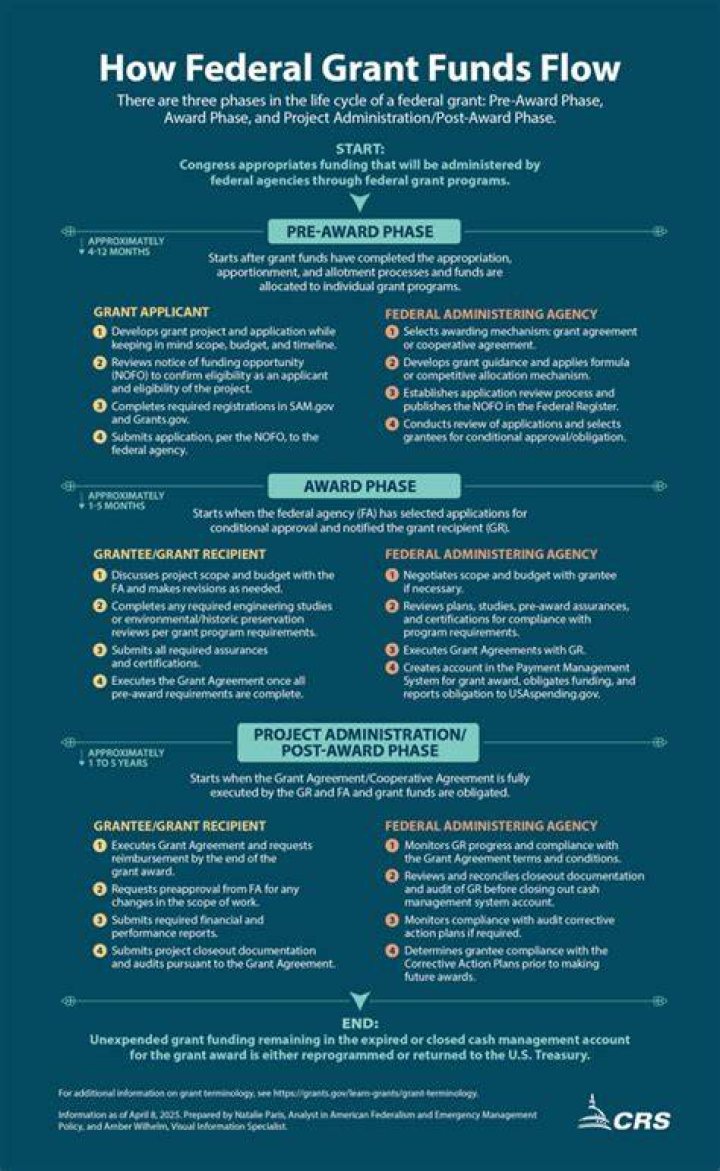 How does government grant money work?