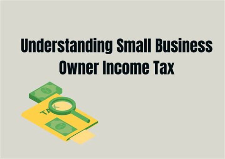 How is business owner income taxed?