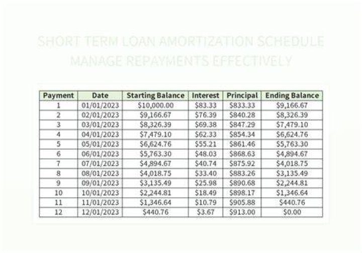 How many months is a short term loan?