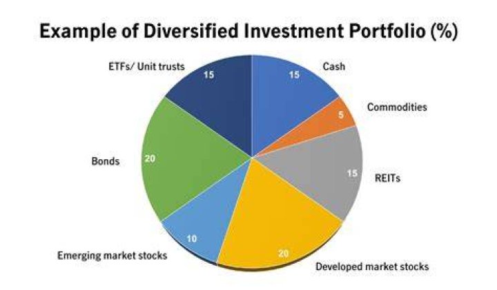 How many stock make a diversified portfolio?