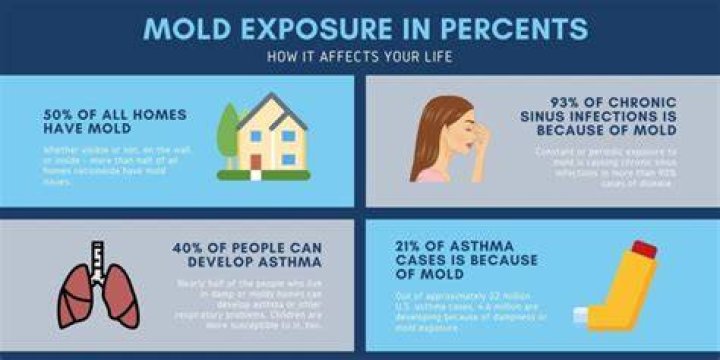 How much can you sue for mold exposure?