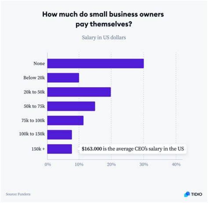 How much do business owners pay themselves?