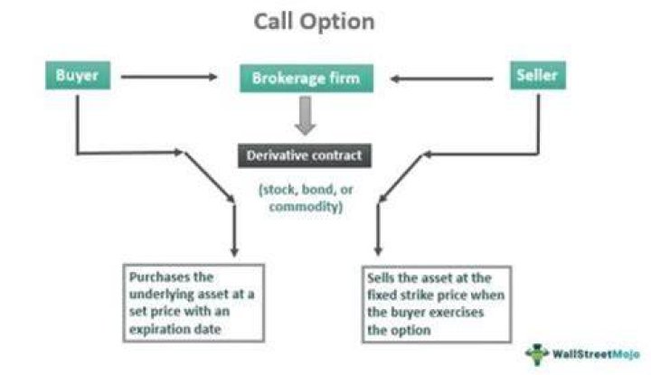 How much does a call option contract cost?