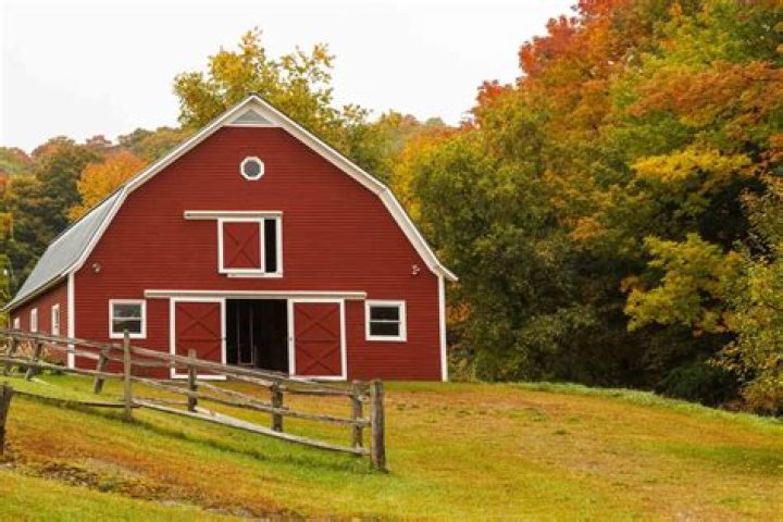How much does it cost to build a 30×50 barn?