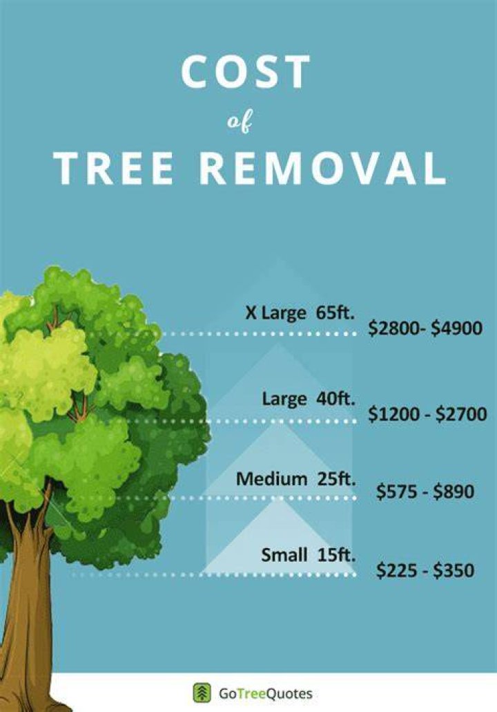 How much does it cost to cut down a fallen tree?