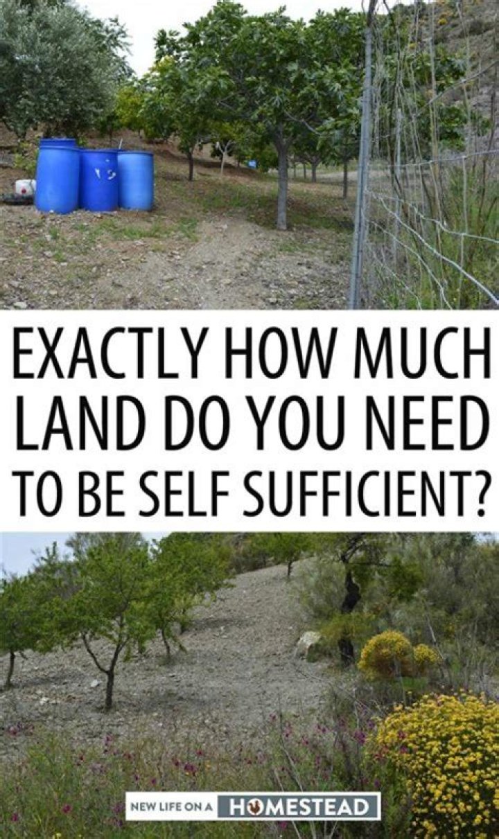 How much land do you need to subdivide?