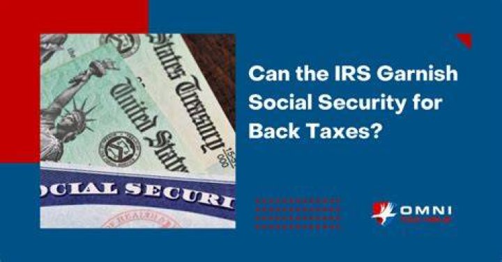 How much of my Social Security can the IRS take for back taxes?