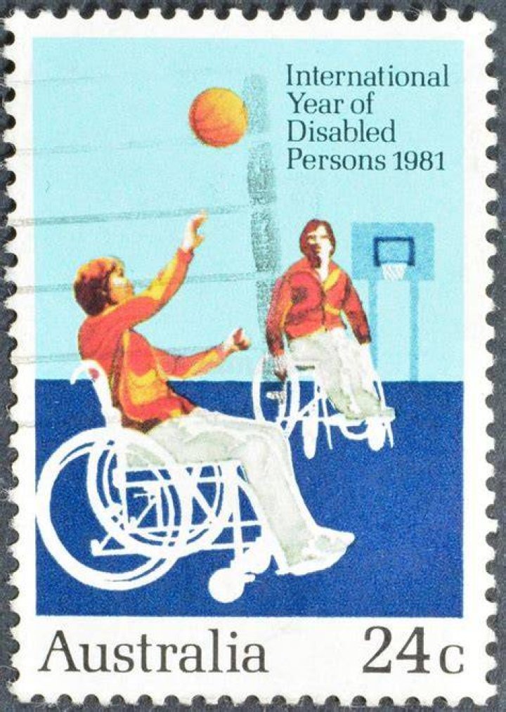 In which year was declared the disabled year?