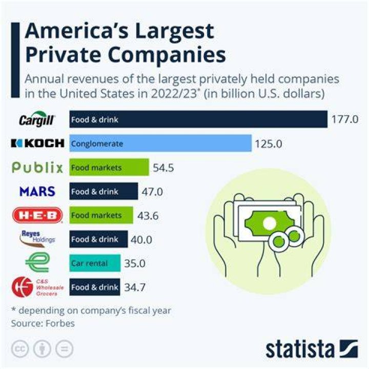 Is an S Corp a privately owned business?