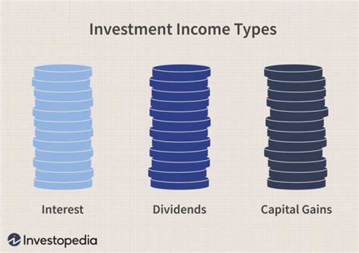 Is business income considered investment income?