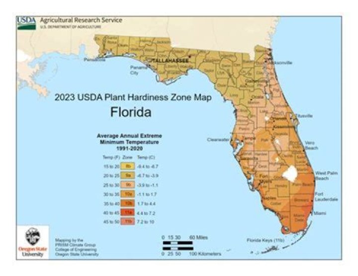 Is Florida File legit?