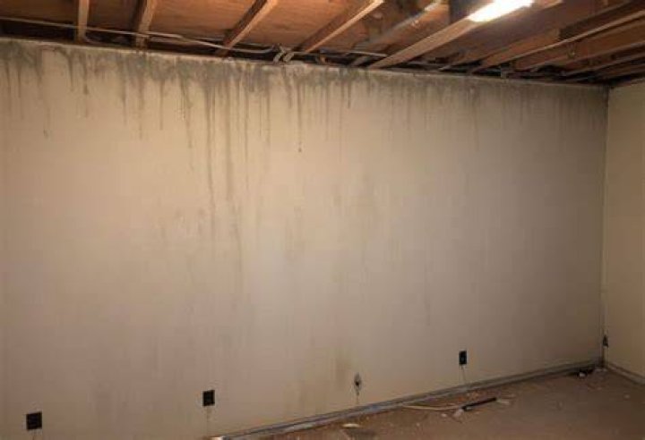 Is it safe to live in a house with mold in the basement?