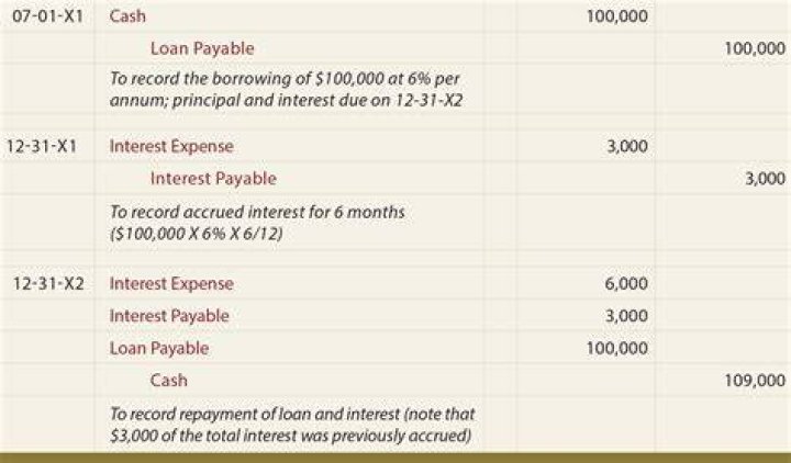 Is paying a loan a business expense?