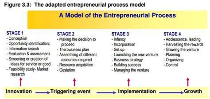 What are the 4 stages of the entrepreneurial process?