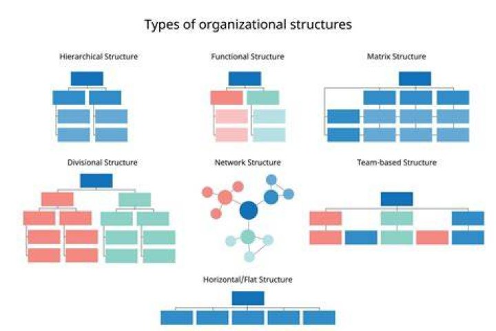 What are the different types of organizational structures in business?