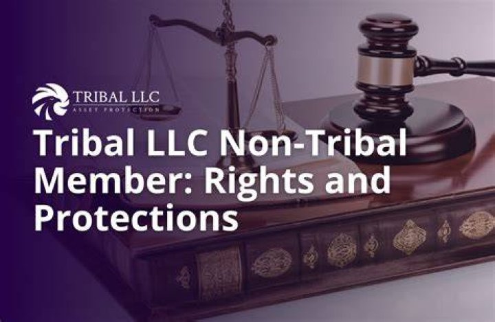 What are the rights of a member in an LLC?