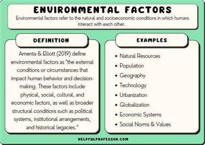 What are the three factors in determining environmental impact?
