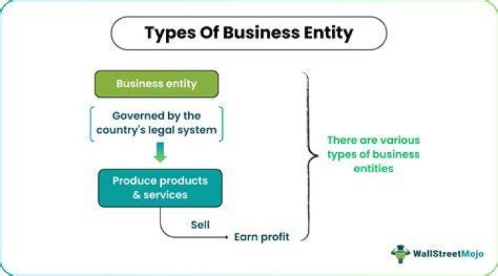 What are the three types of entity?