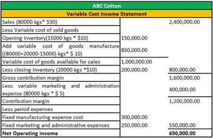 What are variable costs on an income statement?