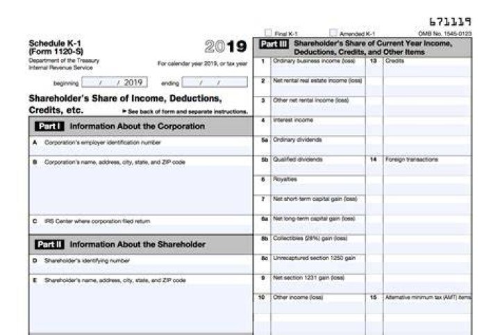 What do you need to know about the S corporation K1?