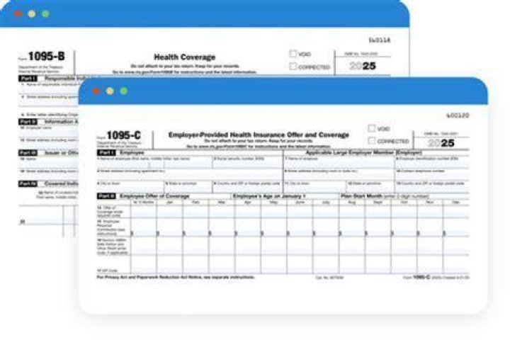 What does 2C mean on a 1095-C form?