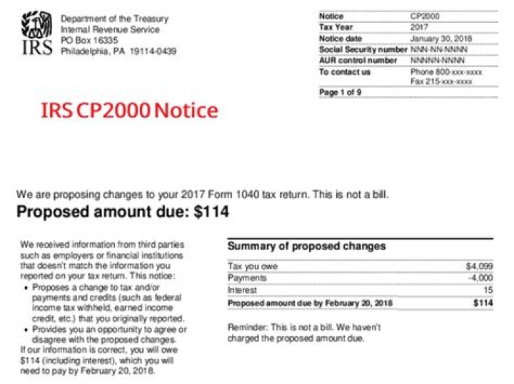 What does a CP2000 inquiry from the IRS mean?