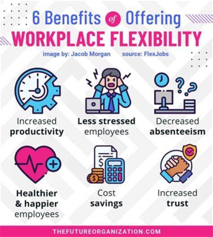 What does flexibility mean in accounting?